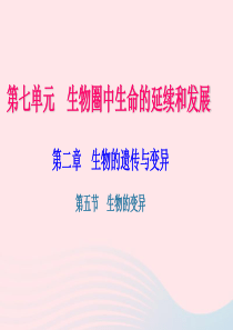 八年级生物下册 第七单元 第二章 第五节 生物的变异习题课件 （新版）新人教版