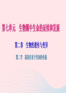 八年级生物下册 第七单元 第二章 第二节 基因在亲子代间的传递习题课件 （新版）新人教版