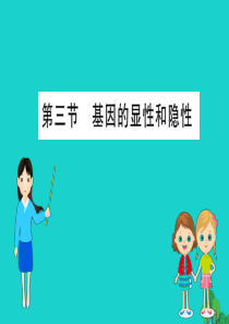 八年级生物下册 7.2.3 基因的显性和隐性习题课件（新版）新人教版