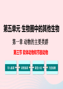 八年级生物上册 第五单元 第一章 第三节 软体动物和节肢动物课件2 （新版）新人教版