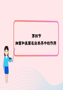 八年级生物上册 第五单元 第四章 第四节 细菌和真菌在自然界中的作用课件 （新版）新人教版