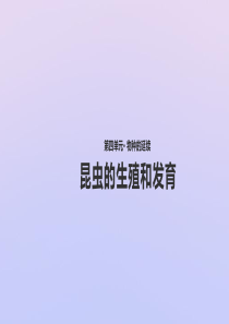 八年级生物上册 第四单元 物种的延续 第二章 动物的生殖和发育 第一节 昆虫的生殖和发育课件（新版）