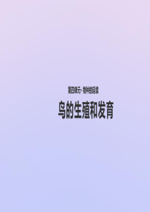 八年级生物上册 第四单元 物种的延续 第二章 动物的生殖和发育 第三节 鸟的生殖和发育课件（新版）济