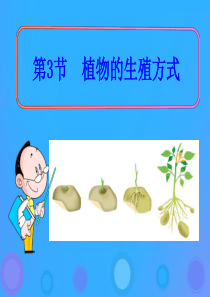 八年级生物上册 19.3《植物的生殖方式》课件4 （新版）北师大版