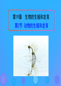 八年级生物上册 19.2《动物的生殖和发育》课件1 （新版）北师大版