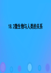 八年级生物上册 18.2《微生物与人类的关系》课件3 （新版）北师大版