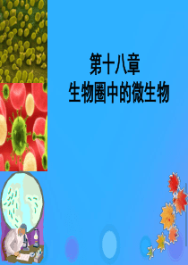 八年级生物上册 18.1《微生物在生物圈中的作用》课件1 （新版）北师大版