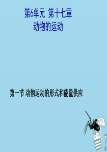 八年级生物上册 17.1动物运动的形式和能量供应课件 （新版）苏教版