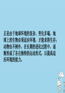 八年级生物上册 17.1 动物运动的形式和能量供应课件 （新版）苏教版