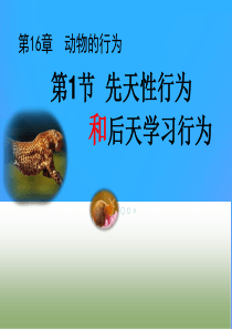 八年级生物上册 16.1《先天性行为和后天学习行为》课件3 （新版）北师大版