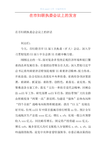 在市妇联执委会议上的发言