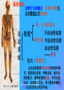 八年级生物上册 5.2.2《先天性行为和学习行为》课件2 （新版）新人教版