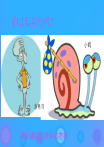 八年级生物上册 5.1.3《软体动物和节肢动物》课件2 （新版）新人教版