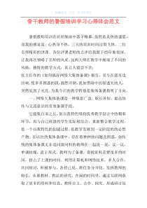 骨干教师的暑假培训学习心得体会范文