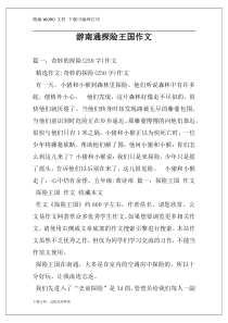 游南通探险王国作文