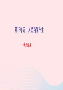 八年级道德与法治下册 第三单元 人民当家作主单元综述习题课件 新人教版