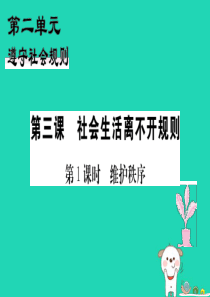 八年级道德与法治上册 第二单元 遵守社会规则 第三课 社会生活离不开规则 第1框 维护秩序习题课件 