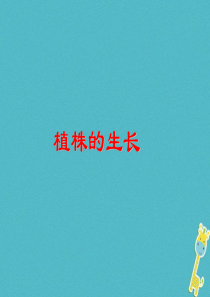 安徽省合肥市长丰县七年级生物上册 3.2.2 植株的生长课件4 （新版）新人教版