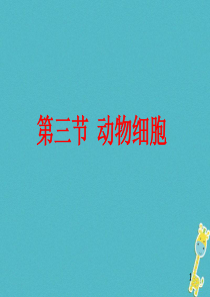 安徽省合肥市长丰县七年级生物上册 2.1.3 动物细胞课件4 （新版）新人教版