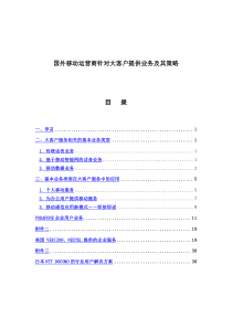 国外移动运营商针对大客户提供业务及其策略