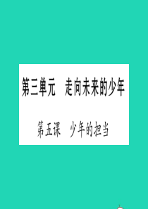 安徽省2019中考道德与法治总复习 九下 第3单元 走向未来的少年 第5课 少年的担当知识梳理课件