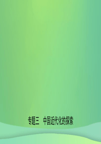 安徽省2019年中考历史专题复习 专题三 中国近代化的探索课件