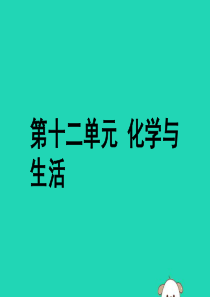 安徽省2019年中考化学总复习 第一部分 夯实基础过教材 第十二单元 化学与生活课件