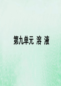 安徽省2019年中考化学总复习 第一部分 夯实基础过教材 第九单元 溶液课件