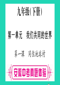 安徽省2019届中考道德与法治总复习 九下 第1单元 我们共同的世界 第1课 同住地球村考点突破课件