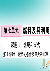 安徽省2018年秋九年级化学上册 第七单元 燃料及其利用 课题1 燃烧及灭火 第1课时 燃烧的条件及