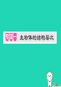 PK中考（江西专用）2019中考生物 专项提升突破篇 专项一 生物体的结构层次课件