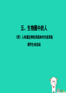 PK中考（江西专用）2019中考生物 五（四）人体通过神经系统和内分泌系统调节生命活动习题课件