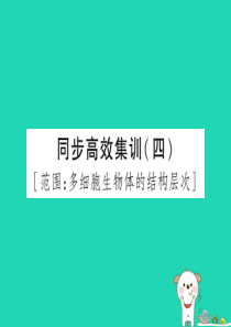 PK中考（江西专用）2019中考生物 同步高效集训（四）课件