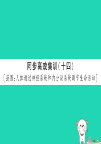 PK中考（江西专用）2019中考生物 同步高效集训（十四）课件