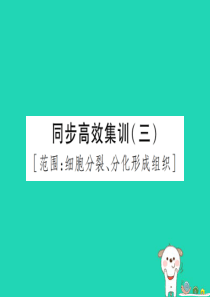 PK中考（江西专用）2019中考生物 同步高效集训（三）课件