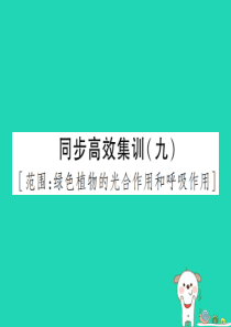 PK中考（江西专用）2019中考生物 同步高效集训（九）课件