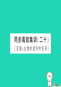 PK中考（江西专用）2019中考生物 同步高效集训（二十）课件