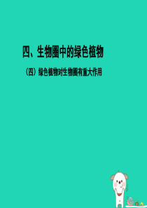 PK中考（江西专用）2019中考生物 四（四）绿色植物对生物圈有重大作用习题课件