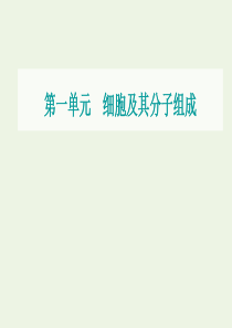 2021届高考生物一轮复习 第一单元 细胞及其分子组成 第四讲 核酸、糖类和脂质课件 新人教版