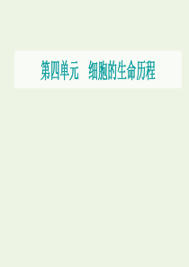 2021届高考生物一轮复习 第四单元 细胞的生命历程 第二讲 减数分裂和受精作用课件 新人教版