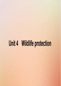 2021高考英语一轮复习 Unit 4 Wildlife protection课件 新人教版必修2