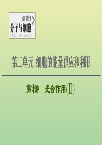 2021高考生物一轮复习 第3单元 细胞的能量供应和利用 第4讲 光合作用（Ⅱ）课件 新人教版必修1