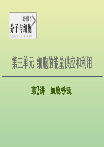 2021高考生物一轮复习 第3单元 细胞的能量供应和利用 第2讲 细胞呼吸课件 新人教版必修1