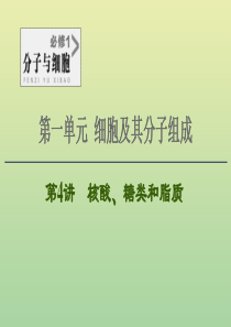 2021高考生物一轮复习 第1单元 细胞及其分子组成 第4讲 核酸、糖类和脂质课件 新人教版必修1