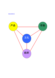 图4.2.SIAR战略体系