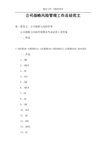 公司战略风险管理工作总结范文