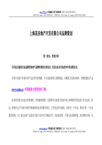 上海某房地产开发有限公司品牌策划