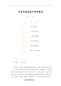 专业市场房地产项目策划