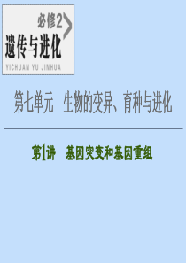 2021版高考生物一轮复习 第7单元 生物的变异、育种与进化 第1讲 基因突变和基因重组课件 苏教版