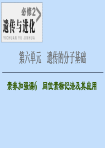 2021版高考生物一轮复习 第6单元 遗传的分子基础 素养加强课6 同位素标记法及其应用课件 苏教版